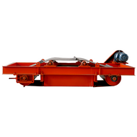 Selbstentladender elektromagnetischer Eisenabscheider der RCDD(MC12)-Serie